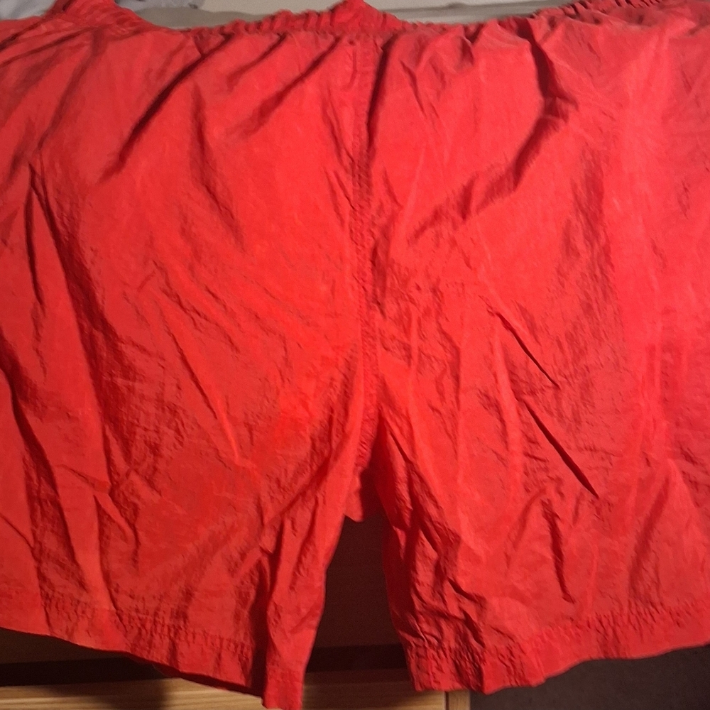 Men's Vintage 90s Mesh Lined Swim Surf Shorts